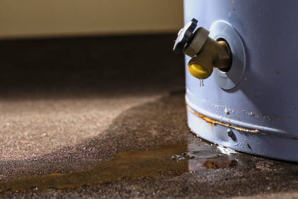 Best Sewage cleanup and water damage restoration  in West Mayfield, PA