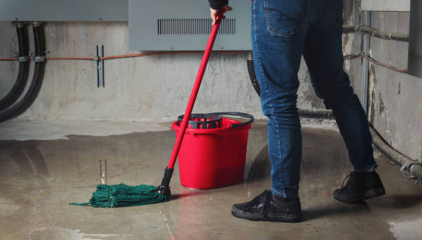 Best Water damage restoration near me  in West Mayfield, PA