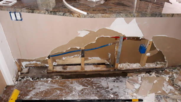 Best Mold removal after water damage  in West Mayfield, PA